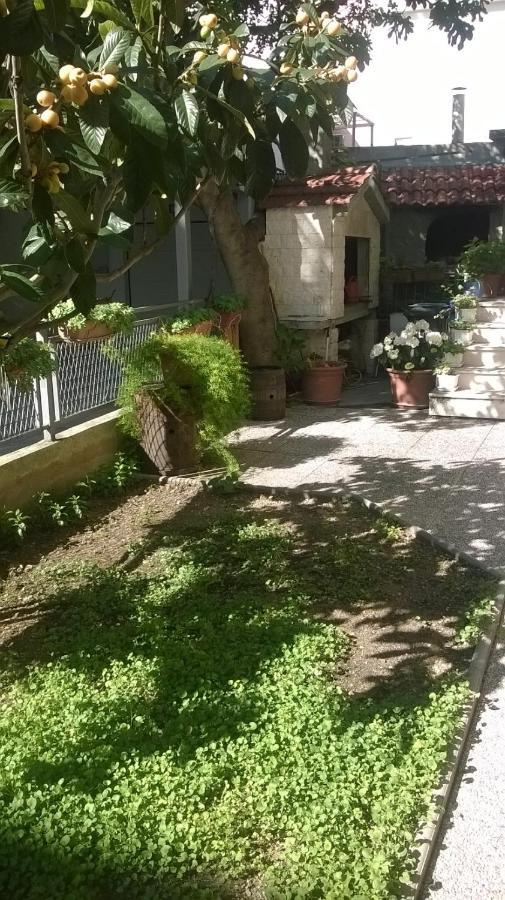 Apartman Renata أوميس المظهر الخارجي الصورة